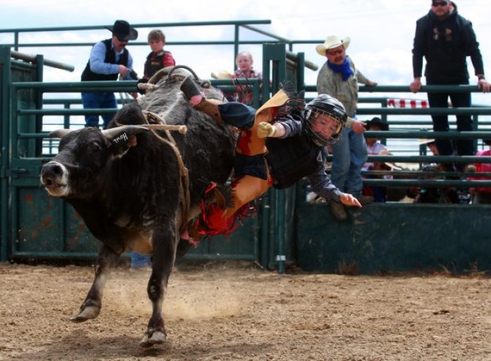 Mini Bull Riding